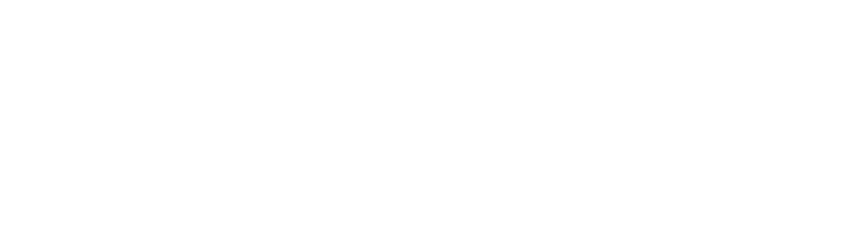 brand 41
